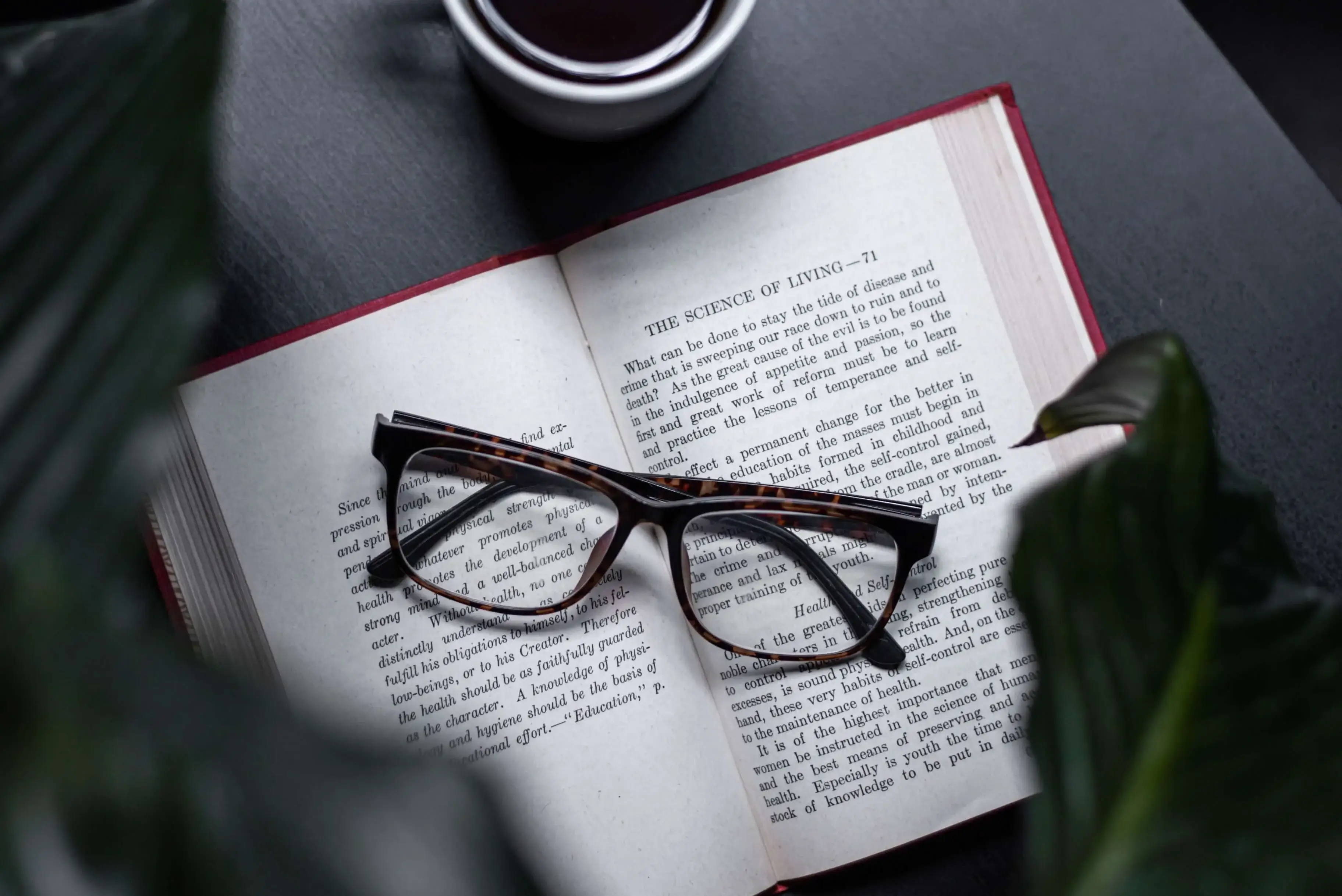 Best Publishing Experience